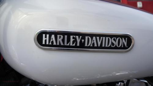 harley-davidson-sportster-low[10]